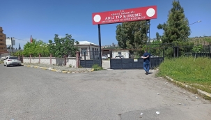 Suruç'ta Kayıp Yaşlı Kadın Ölü Olarak Bulundu