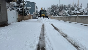 Viranşehir Belediyesi Karla Mücadelede Seferber Oldu