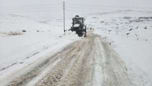 Viranşehir Belediyesi'nin Karla Mücadelesi Takdir Topladı