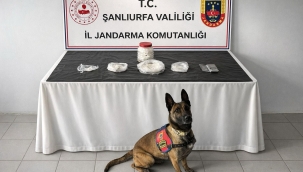 Birecik'te Tarladan Zehir Çıktı! Jandarmadan Narkotik Operasyonu