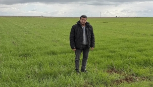 Çiftçinin Yüzü Gülüyor, Tarlalar Yeşerdi