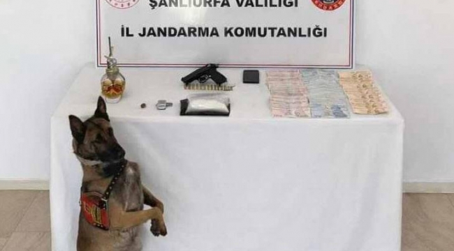 Eyyübiye'de Uyuşturucu Ticareti Baskını: 1 Şüpheli Yakalandı