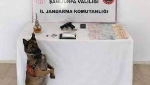 Eyyübiye'de Uyuşturucu Ticareti Baskını: 1 Şüpheli Yakalandı