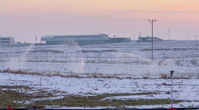 Karla Kaplı Tarlada Kaçak Sulama Şoku: Elektrik Trafoları Ele Geçirildi