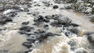 Kuraklık Yerini Berekete Bıraktı: Karahisar Çayı Yıllar Sonra Yeniden Akıyor