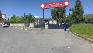 Şanlıurfa'da ahırda şüpheli ölüm 