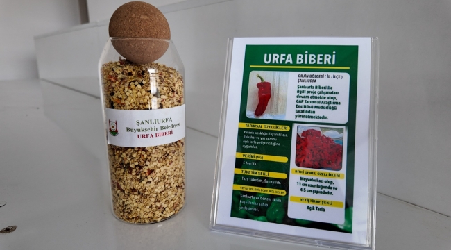 Şanlıurfa'da Ata Tohumları Çiftçilerle Buluşuyor