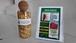 Şanlıurfa'da Ata Tohumları Çiftçilerle Buluşuyor