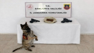 Şanlıurfa'da Narkotik Operasyonu: 190 Gram Uyuşturucu Ele Geçirildi