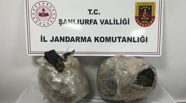 Şanlıurfa'da Narkotik Operasyonu: 20 Kilo Esrar Ele Geçirildi