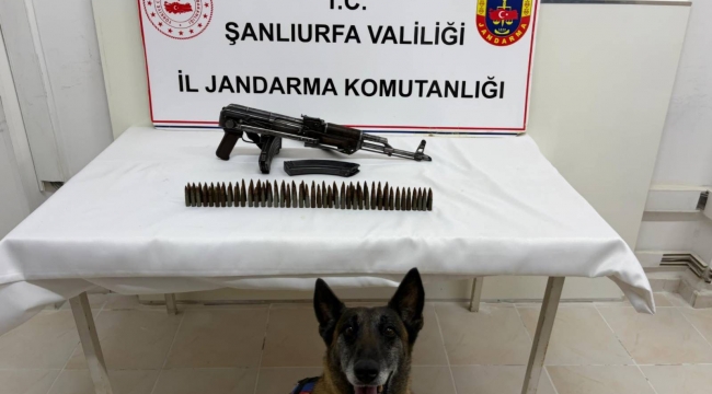 Suruç'ta Ruhsatsız Silah Operasyonu