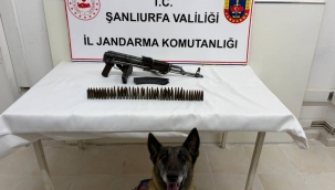 Suruç'ta Ruhsatsız Silah Operasyonu