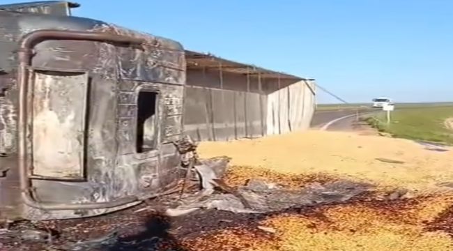 Viranşehir–Ceylanpınar Yolunda Tır Kazası: Sürücü Hafif Yaralı