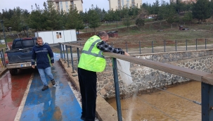 Viranşehir'de Larva ile Mücadele Başladı: Hedef Daha Sağlıklı Bir Yaz