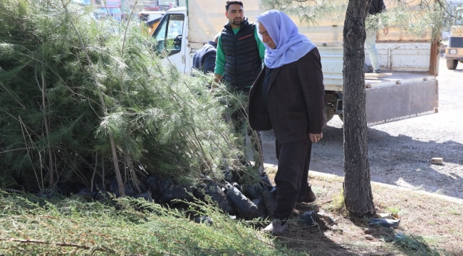 Başkan İnan, Daha yeşil Viranşehir için çalışıyoruz 