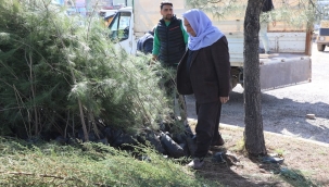 Başkan İnan, Daha yeşil Viranşehir için çalışıyoruz 