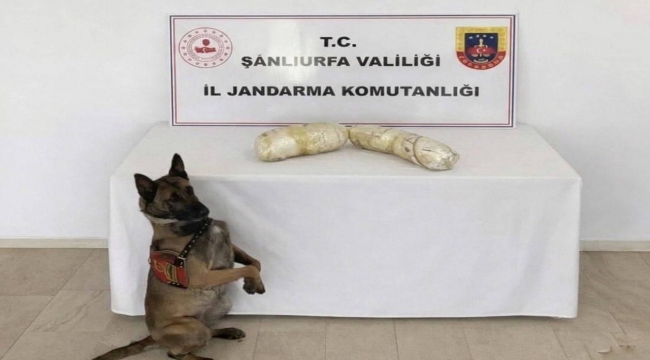 Birecik'te Narkotik Operasyonu: 2 Kilo Uyuşturucu Ele Geçirildi