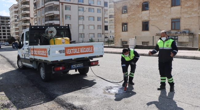 Büyükşehir'den Sivrisinek Ve Haşerelere Karşı Yoğun Mesai