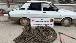 Ceylanpınar'da Film Gibi Operasyon: Hırsız Yolda Yakalandı