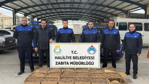 Haliliye'de Gıda Denetimi: Küflü Cevizlere El Konuldu