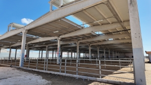 Şanlıurfa Canlı Hayvan Borsası'na Elektronik Baskül Kuruldu