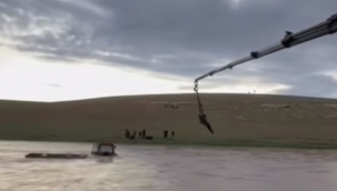 Şanlıurfa'da Derede Mahsur Kalan Traktör, Ekiplerin Çabasıyla Çıkarılacak