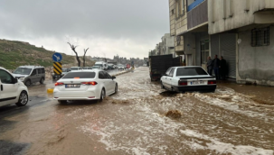Vali Şıldak Duyurdu: Şanlıurfa Bu Yıl Beklenenin Üzerinde Yağış Aldı