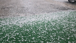 Viranşehir, Birecik ve Suruç'ta Dolu Yağışı Yaşamı Zorlaştırdı