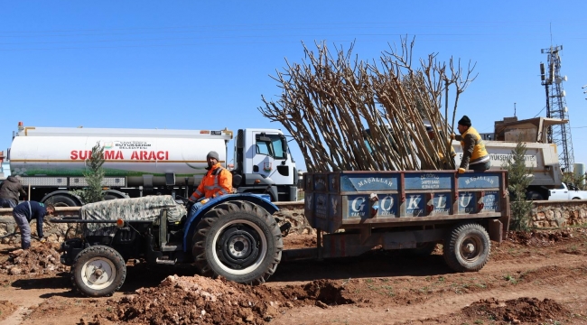 Yukarıgöklü Kent Parkı Yeşile Bürünüyor 