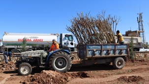 Yukarıgöklü Kent Parkı Yeşile Bürünüyor 