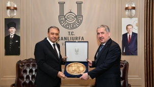 Bakan Yardımcısı Gürcan'dan Şanlıurfa Çıkarması