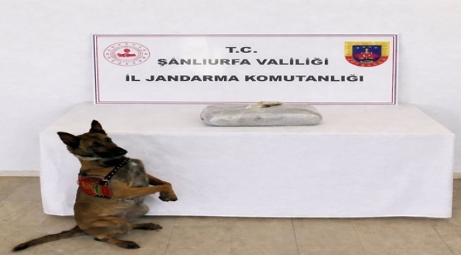 Birecik'te Zehir Tacirine Darbe! Araçtan 1 Kilo Esrar Çıktı