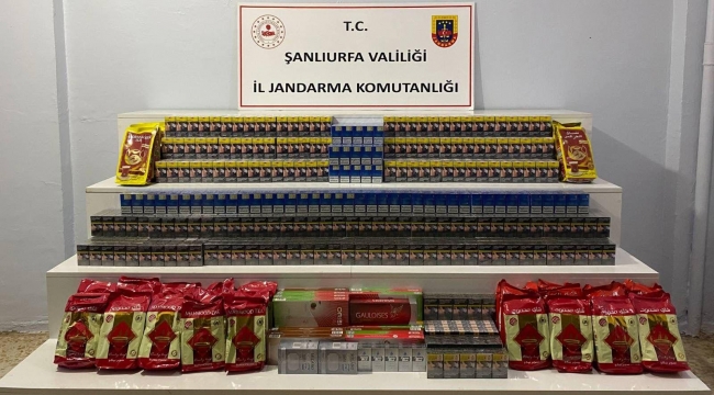 Birecik ve Viranşehir'de Eş Zamanlı Operasyon