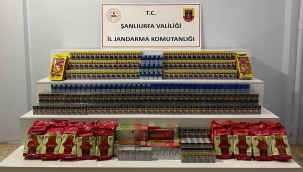 Birecik ve Viranşehir'de Eş Zamanlı Operasyon