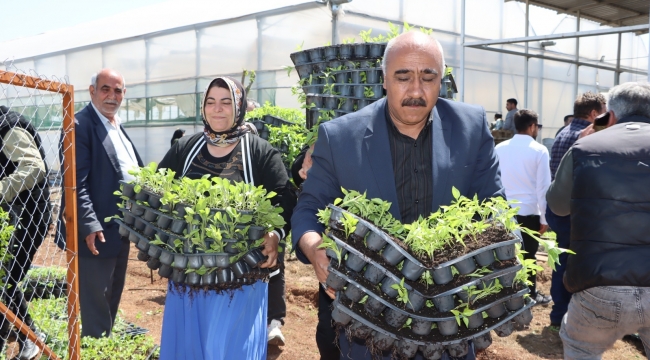 Büyükşehir, 1 Milyon Fide Dağıtarak Üreticiyi Destekledi
