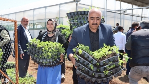 Büyükşehir, 1 Milyon Fide Dağıtarak Üreticiyi Destekledi