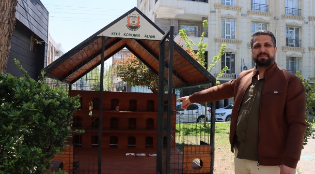 Büyükşehir Belediyesi'nden Sokak Kedileri İçin Örnek Proje
