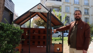 Büyükşehir Belediyesi'nden Sokak Kedileri İçin Örnek Proje