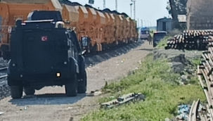 Hayvan Otlatırken Facia: Mayına Bastı