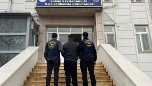 Kaçamadılar! Şanlıurfa'da Aranan 4 Hükümlü Yakalandı