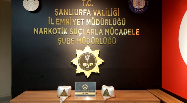 Şanlıurfa'da Narkotik Operasyonu: Araçta Skunk Şoku