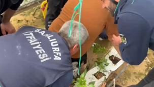 Şanlıurfa'da Talihsiz Kaza: Demir Saplanan Genç Yaralandı