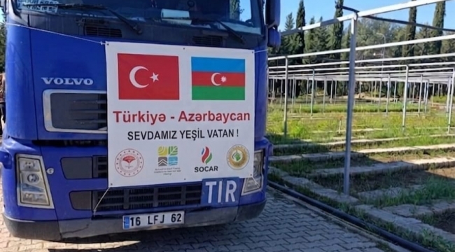 Şanlıurfa'dan Kardeş Ülkeye 11 Bin 10 Fidan