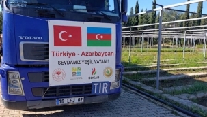 Şanlıurfa'dan Kardeş Ülkeye 11 Bin 10 Fidan