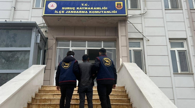 Siber Dolandırıcılıktan Aranan Şahıs Suruç'ta Yakalandı