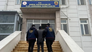 Siber Dolandırıcılıktan Aranan Şahıs Suruç'ta Yakalandı