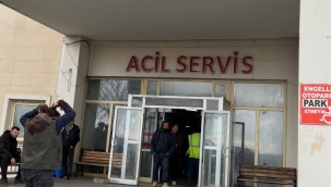Suruç'ta aracın çarptığı yaya hayatını kaybetti