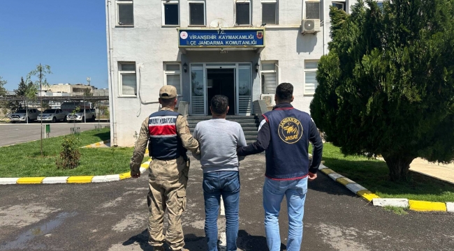 Urfa'da Aranan İki İsim Kıskıvrak Yakalandı