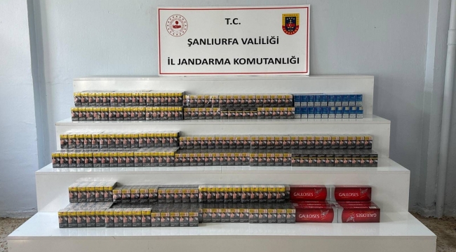 Viranşehir'de Nefes Kesen Operasyon: Kaçak Sigaralar Tek Tek Toplandı