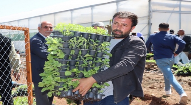 BAŞKAN GÜLPINAR'DAN DÜNYA ÇİFTÇİLER GÜNÜ MESAJI